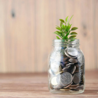 An Economy Other than Capitalism