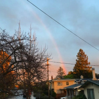 The Divine Beloved Knows