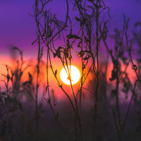 Societys Spiritual Awakening