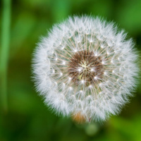 A New Definition of Perfection