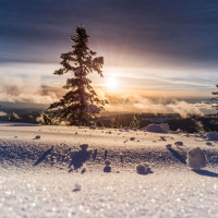 The Dream Hinterland