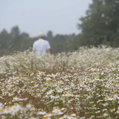 Another World Is Probable