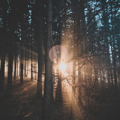 Another World Is Probable