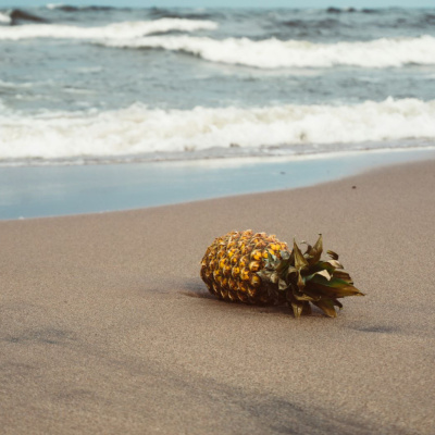 Another World Is Probable