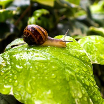 Another World Is Probable