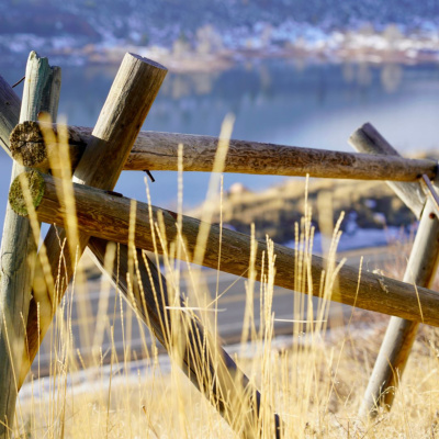 Another World Is Probable