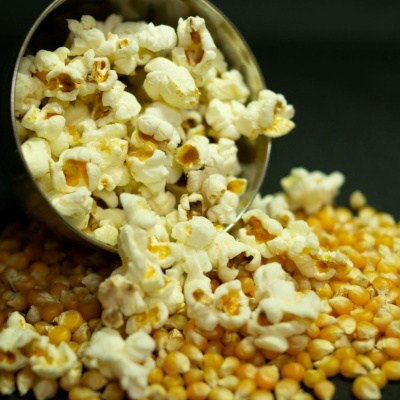 Another World Is Probable