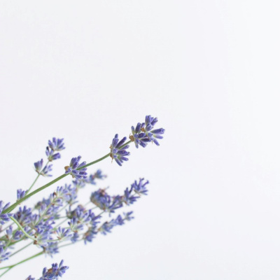 Another World Is Probable