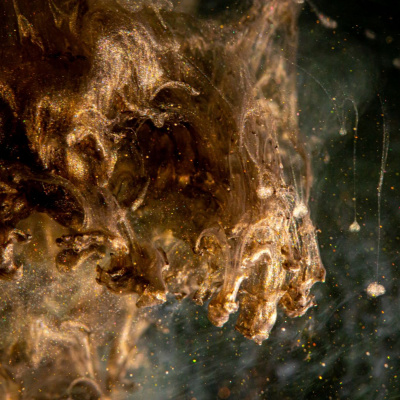 Another World Is Probable