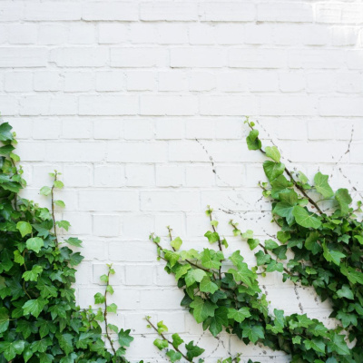 Another World Is Probable