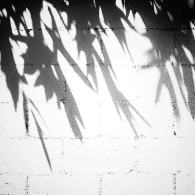 Another World Is Probable