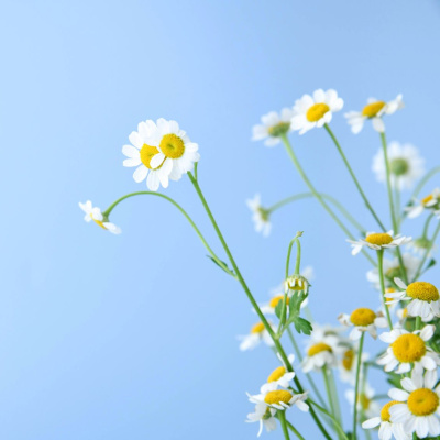 Another World Is Probable