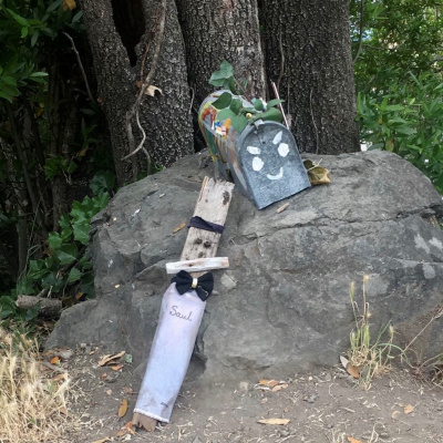 Another World Is Probable