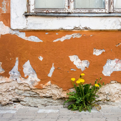 Another World Is Probable