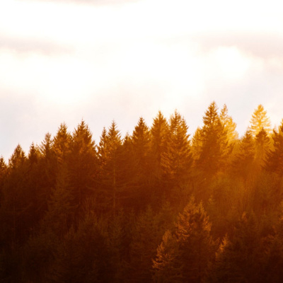 Another World Is Probable