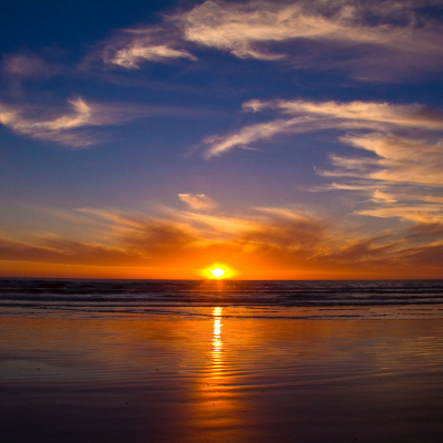 Another World Is Probable