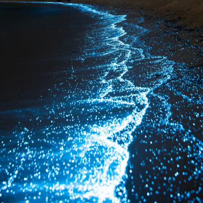 Another World Is Probable