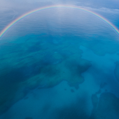 Another World Is Probable