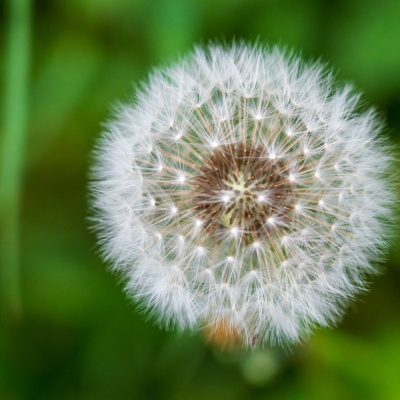 Another World Is Probable