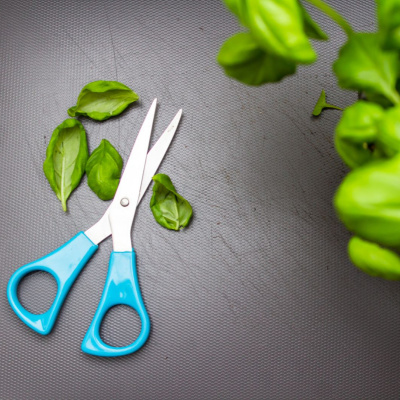 Another World Is Probable