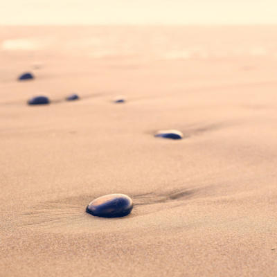 Another World Is Probable