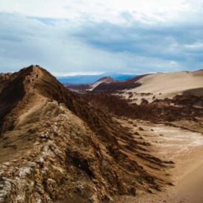 Deeper Down The Rabbit Hole