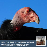 G.O. 059 - Wild Lens on Conservation With Matt Podolsky