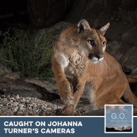 G.O. 007 - Caught on Johanna Turners Cameras