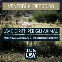 LAV - SPECIALE - Diritti per gli Animali - Anche a Pasqua difendiamo i diritti degli Animali