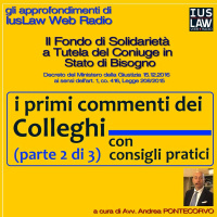 Il Fondo di Solidarietà a Tutela del Coniuge in stato di Bisogno (PARTE SECONDA: IL COMMENTO)