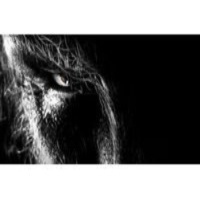 Rumbo Infinito (3T) 17/12/2012 – Manuel Blanco Romasanta: El hombre-lobo de Allariz