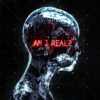 Programación de los Haikus, un cuento de Ismael Núñez Miralles