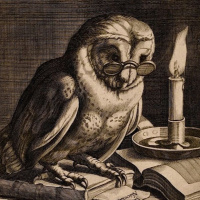 Las lechuzas no son lo que parecen, de Noemi Risco Mateo