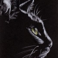 El Gato Negro de Edgar Allan Poe - Episodio exclusivo para mecenas