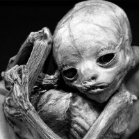 El Que Camina Sobre el Polvo de Clark Asthon Smith