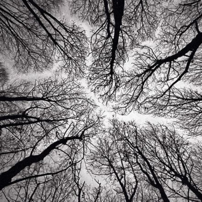 Podcast Noviembre Nocturno