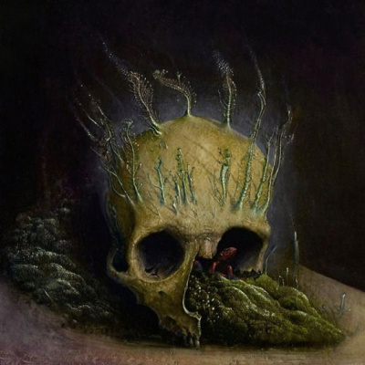 Podcast Noviembre Nocturno