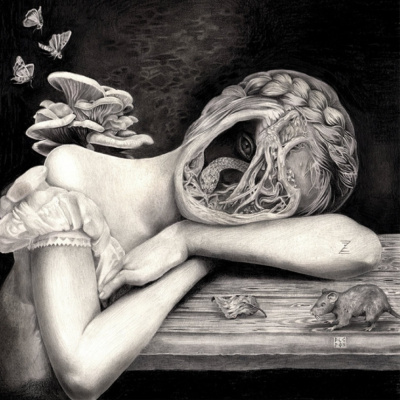 Podcast Noviembre Nocturno