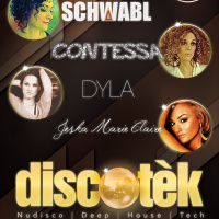 LIVE Set at DiscoTek June 12 2014