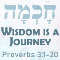 Wisdom is a Journey