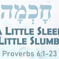 A Little Sleep a Little Slumber