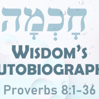 Wisdoms Autobiography