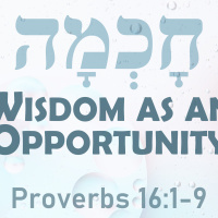 Wisdom as an Opportunity