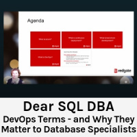 DevOps Terms - and Why They Matter to Database Specialists