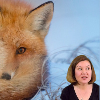 Using a Tail Log Backup in a SQL Server Migration