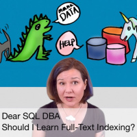 Should I Learn Full-Text Indexing?