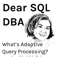Whats Adaptive Query Processing?