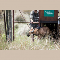 Fundación Temaikèn