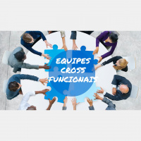 64 - Equipes Cross-funcionais