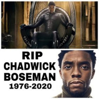 A.V. Quickie: Wakanda Forever!